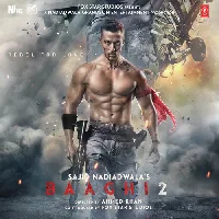 Baaghi 2 - 2018 Video Song