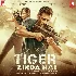 Tiger Zinda Hai - 2017 Video Song