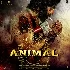 Animal - 2023 Video Songs