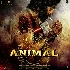 Animal - 2023 Video Songs