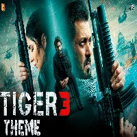 Tiger 3 - 2024 Video Song