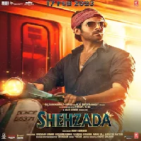 Shehzada (2023) Video Songs