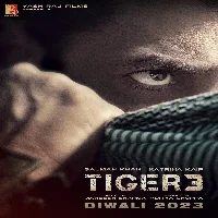 Tiger 3 (2023) Video Songs