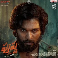 Pushpa The Rise 2021 Video Song