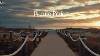 Picture Perfect - Navaan Sandhu