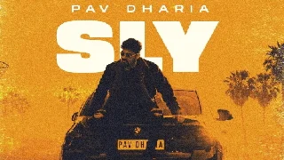 Sly - Pav Dharia