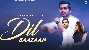 Dil Baazaan - Farzan Faaiz