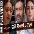 Dil Royi Jaye - De De Pyaar De