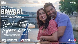 Tumhe Kitna Pyar Karte - Bawaal