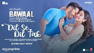 Dil Se Dil Tak - Bawaal