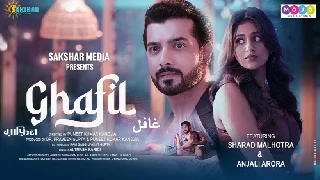 Ghafil - Altmash Faridi