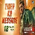 Tiger Ka Message - Tiger 3 4K Ultra HD