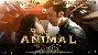 Hua Main - Animal ft Ranbir Kapoor, Rashmika