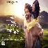 Jaan Denge Tumhe - Laqshay Kapoor ft Princy Khatiwada