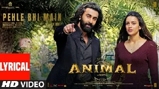 Pehle Bhi Main - Animal ft Ranbir Kapoor