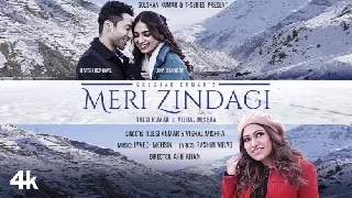 Meri Zindagi - Vishal Mishra