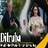 Dilruba - Rahat Fateh Ali Khan ft Mona Liza