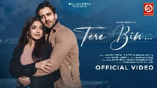 Tere Bin Song - Yasser Desai