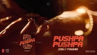 Pushpa Pushpa Promo Song - Pushpa 2 The Rule ft Allu Arjun
