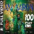 Angaaron The Couple Song - Pushpa 2 The Rule ft Allu Arjun